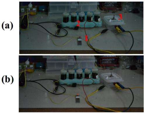 Graphene battery demonstrated to power an LED