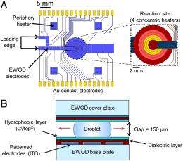 Of microchemistry and molecules: Electronic microfluidic device synthesizes biocompatible probes