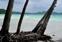 View of a beach on Praslin island, Seychelles