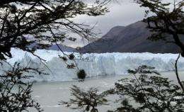 View of the Perito Moreno glacier