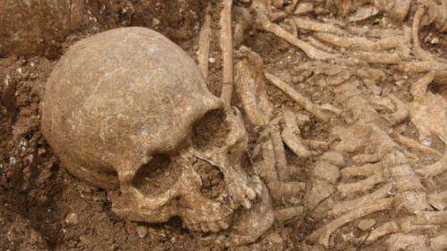 Viking mass grave linked to elite killers of the medieval world
