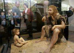 Visitors of the Museum for Prehistory in Eyzies-de-Tayac look at a Neanderthal's reconstruction in 2004