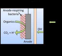 Waste to watts: Improving microbial fuel cells