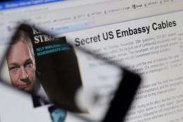 WikiLeaks enraged Washington by leaking thousands of classified documents