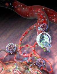 With drug-loaded nanogel, researchers attack cancerous tumors