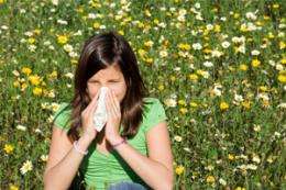 Worm therapy for hay fever? More research is needed