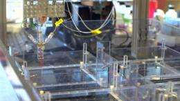 WPI team scales-up production of biopolymer microthreads