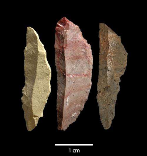 Small lethal tools have big implications for early modern human complexity