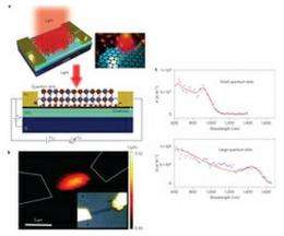 Research group creates highly sensitive photodetector from graphene and quantum dots