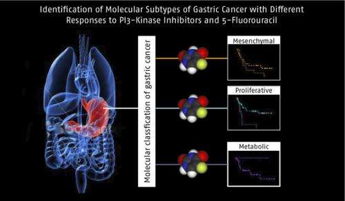 3 subtypes of gastric cancer suggest different treatment approaches