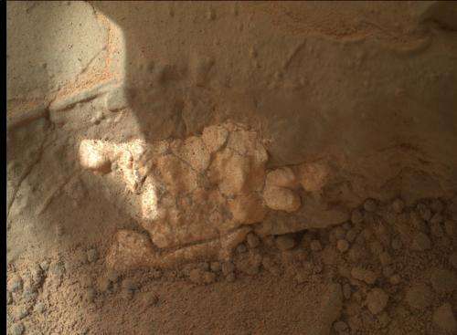 About that ‘flower’ on Mars….