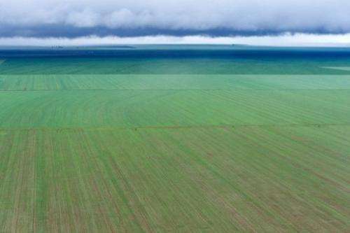 Aerial view of a soy bean field in Mato Grosso, Brazil, on March 27, 2012