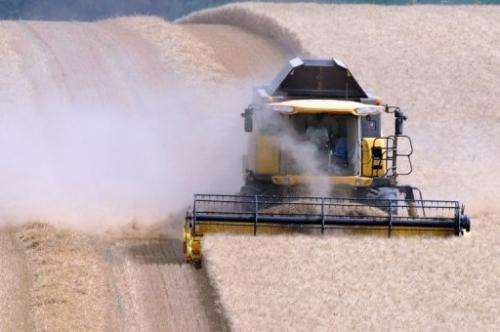A farmer harvests wheat on July 25, 2013, in Civray-sur-Esves, central France