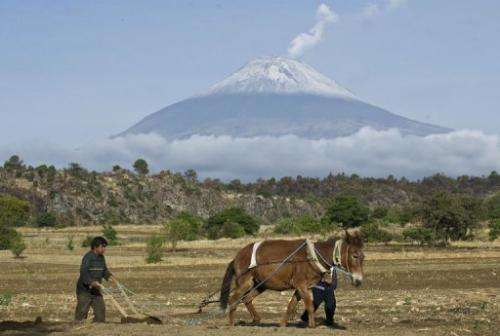 A farmer plows the land in San Nicolas de los Ranchos near the Popocatepetl Volcano on May 14, 2013
