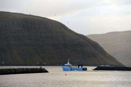 A fishing boat leaves the harbor of Vestmanna village on October 14, 2012 in the Faroe Islands