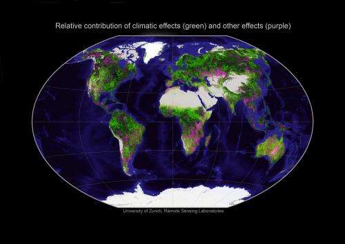 A look at the world explains 90 percent of changes in vegetation