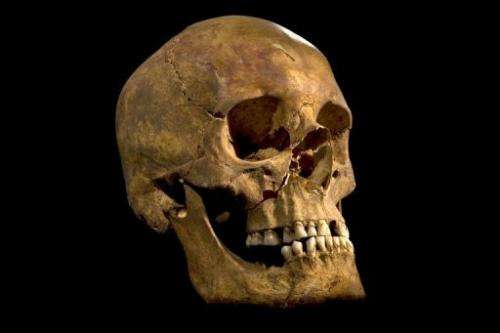 A picture released on February 3, 2013 shows the skull found in a car park in Leicester