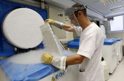 A researcher manipulates samples at Vall d'Hebron Research Institute in Barcelona on June 20, 2013