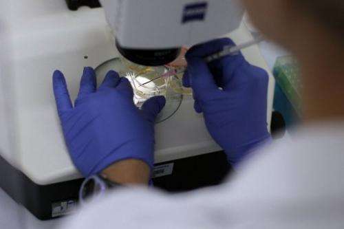 A scientist is pictured on August 27, 2010 working on stem cells at a US university