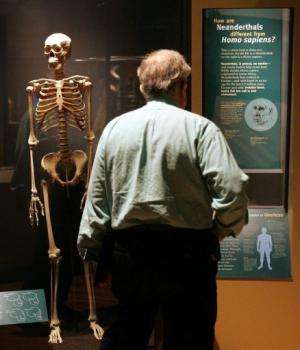A visitor looks at an exhibit at the Field Museum in Chicago, Illinois, on March 7, 2006