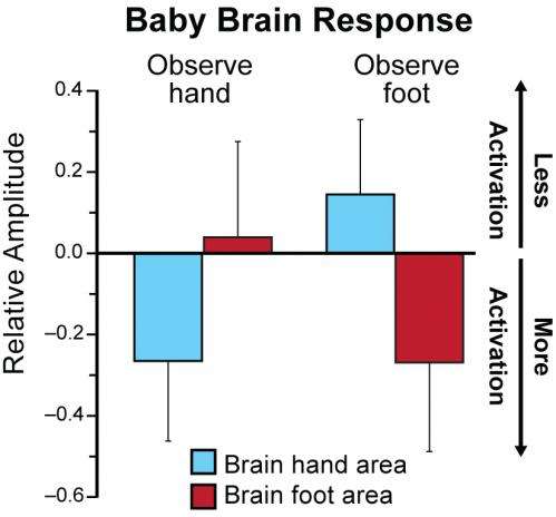 婴儿的大脑是调到别人的具体行动