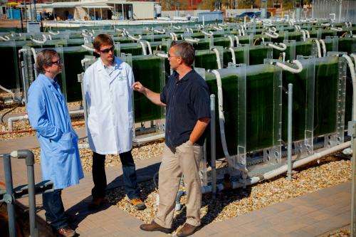 Better monitoring and diagnostics tackle algae biofuel pond crash problem