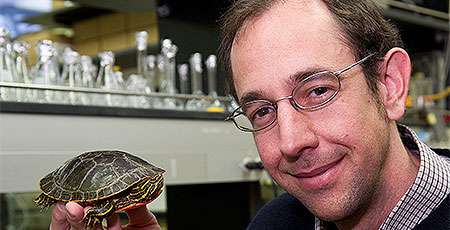 Biologists decode turtle genome