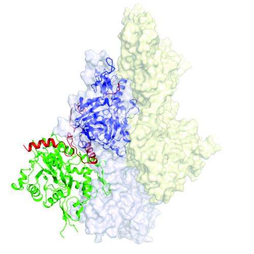 Biologists take snapshot of fleeting protein process