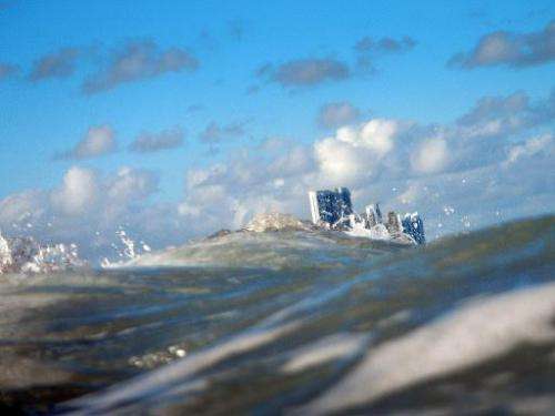 Buildings are seen near the ocean as on March 14, 2012 in North Miami, Florida