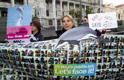 Campaigners attend a rally in Wellington to protect the critically endangered Maui's dolphin on May 2, 2012