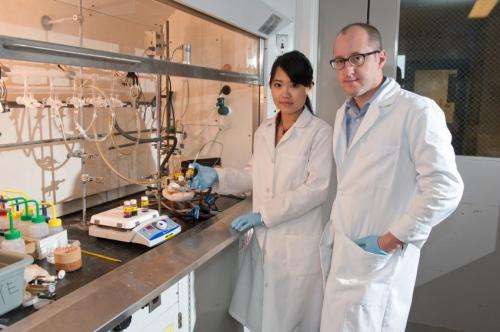 Chemists develop 'fresh, new' approach to making alloy nanomaterials