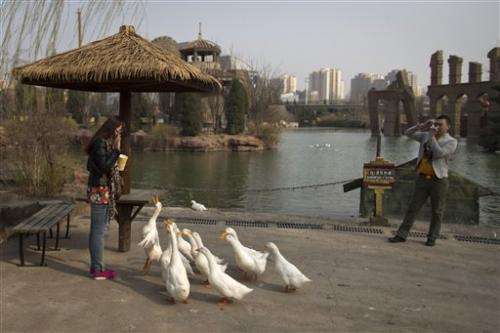 China bird flu mutates, might infect mammals