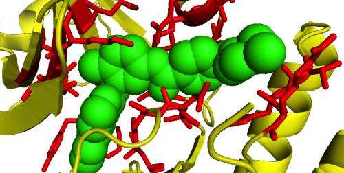 CNIO scientists create the first large catalog of interactions between drugs and proteins