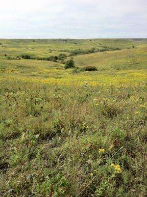 CU-Boulder-led team gets first look at diverse life below rare tallgrass prairies