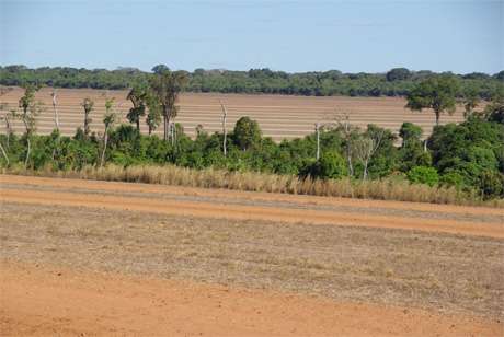 Deep, permeable soils buffer impacts of crop fertilizer on Amazon streams, MBL study finds