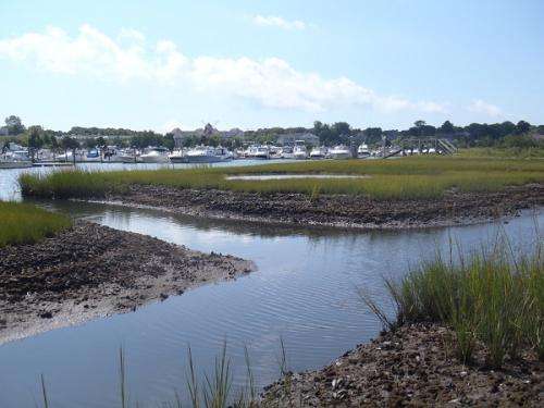 Depression-era drainage ditches emerge as sleeping threat to Cape Cod salt marshes