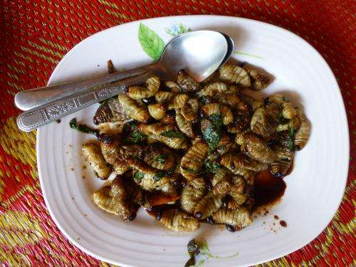 Eating insects: Like them stir fried or curried?