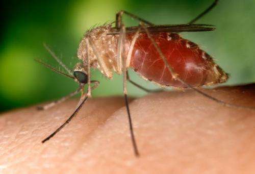 Effects of climate change on West Nile virus