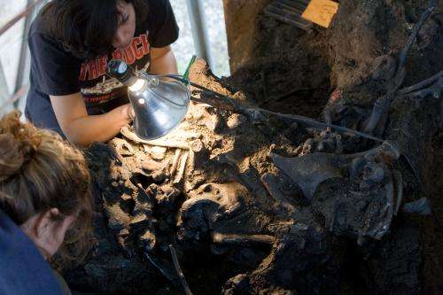Fossil insect traces reveal ancient climate, entrapment, and fossilization at La Brea Tar Pits