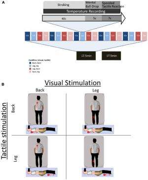 Full body illusion is associated with a drop in skin temperature