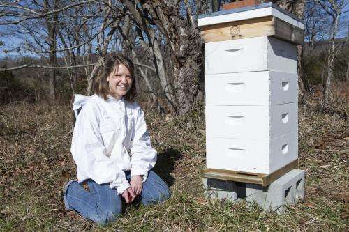 Happy honeybees: Student applying engineering research to agriculture