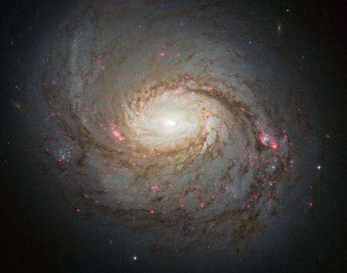 Hubble observes the hidden depths of Messier 77