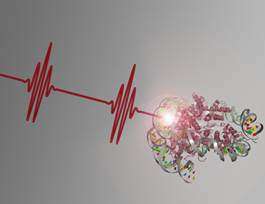 Laser pulses reveal DNA repair mechanisms