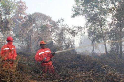 Indonesian firefighters from the Forest Ministry battle forest fires in Pekanbaru, on Sumatra island, on June 20, 2013