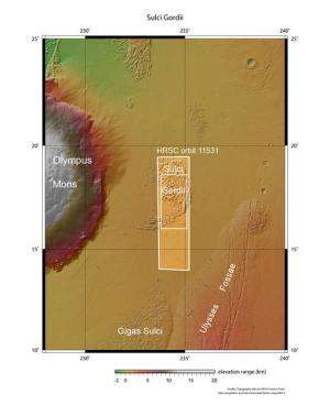Landslides and lava flows at Olympus Mons on Mars
