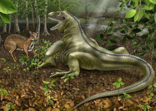 'Lizard King' fossil shows giant reptiles coexisted with mammals during globally warm past