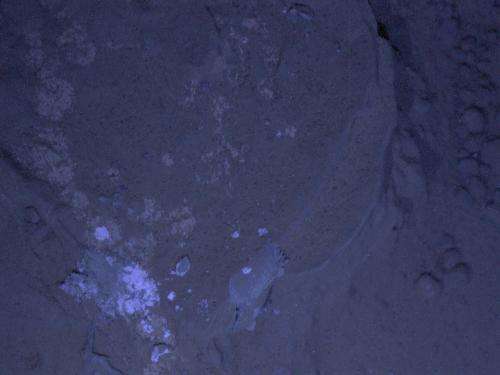 Mars rover Curiosity uses arm camera at night