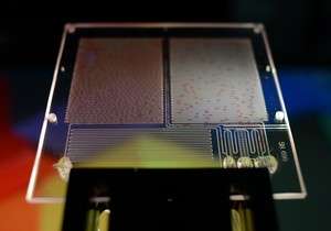 Microfluidic breakthrough in biotechnology