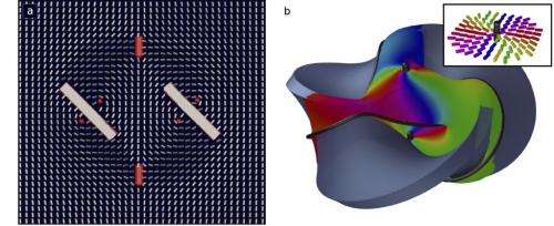 Mobius strip ties liquid crystal in knots to produce tomorrow's materials and photonic devices