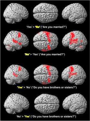 Neuroscientists get yes-no answers via brain activity
